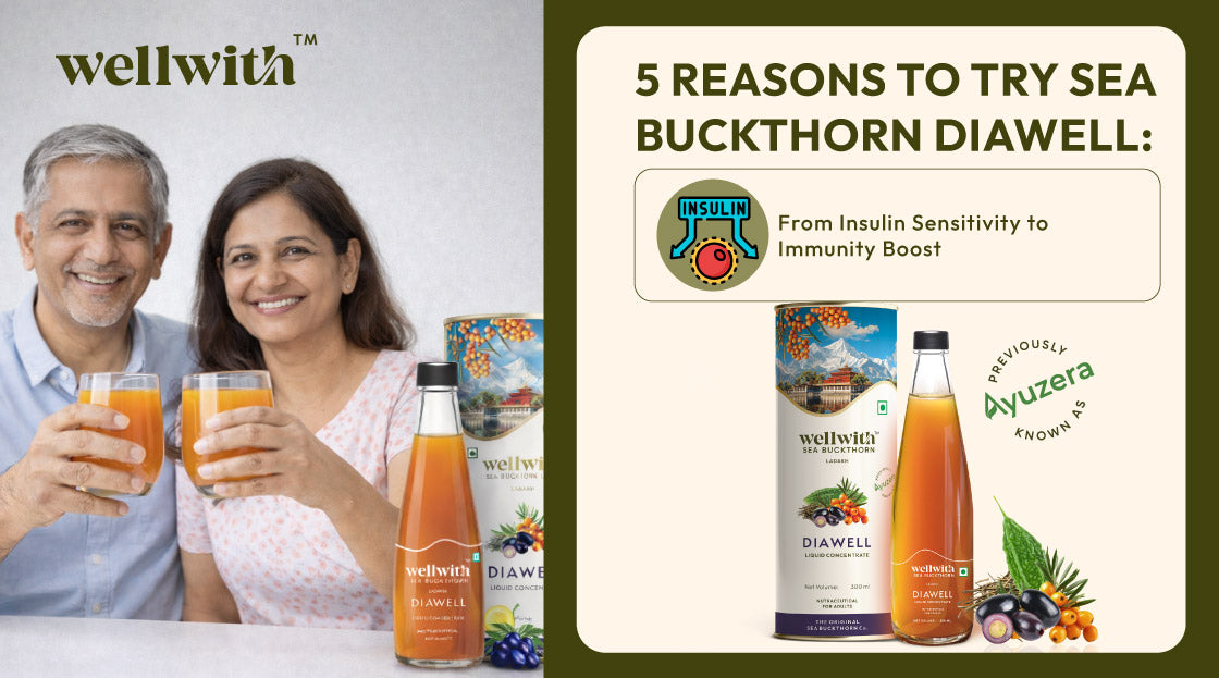 5 Reasons to Try Sea Buckthorn DiaWell, From Insulin Sensitivity to Immunity Boost