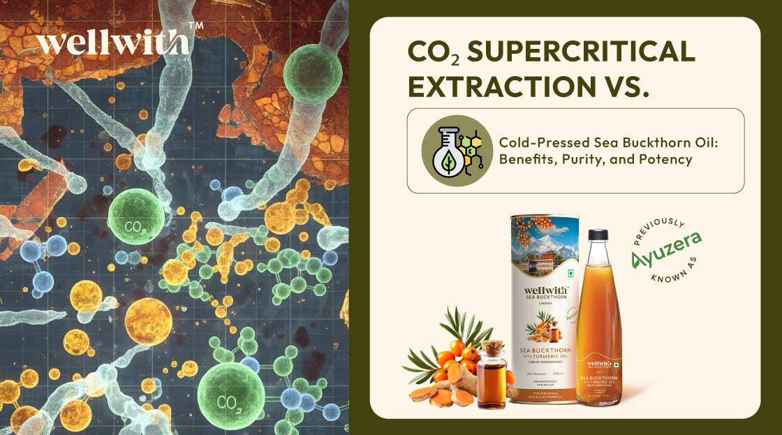 Both supercritical CO2 extraction and cold-press extraction offer unique advantages and are well-suited methods for the extraction of Sea buckthorn oil.