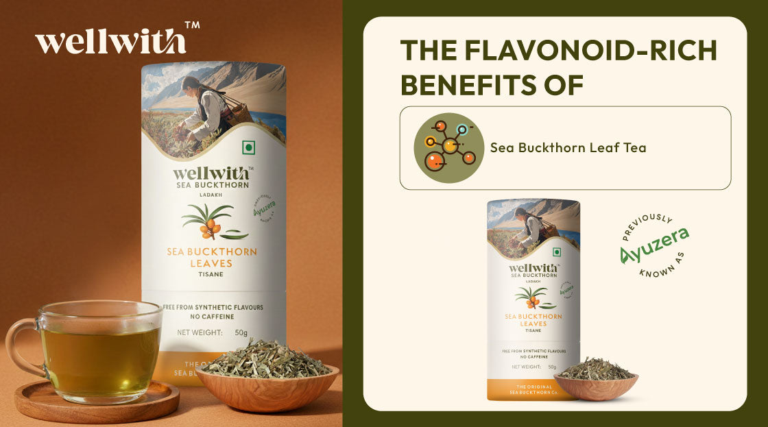 Flavonoid-Rich Benefits of Sea Buckthorn Leaf Tea