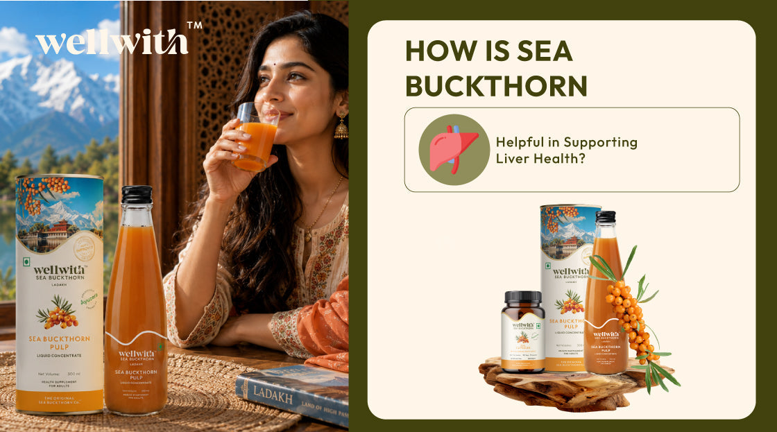sea buckthorn helpful in supporting liver health