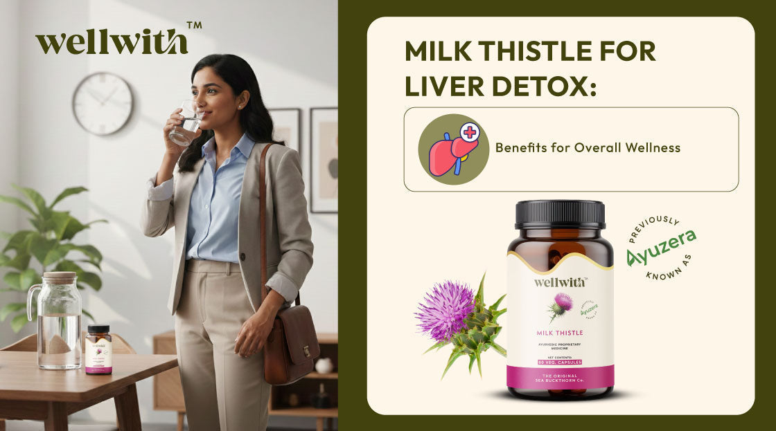 Milk Thistle for Liver Detox - Benefits for Overall Wellness
