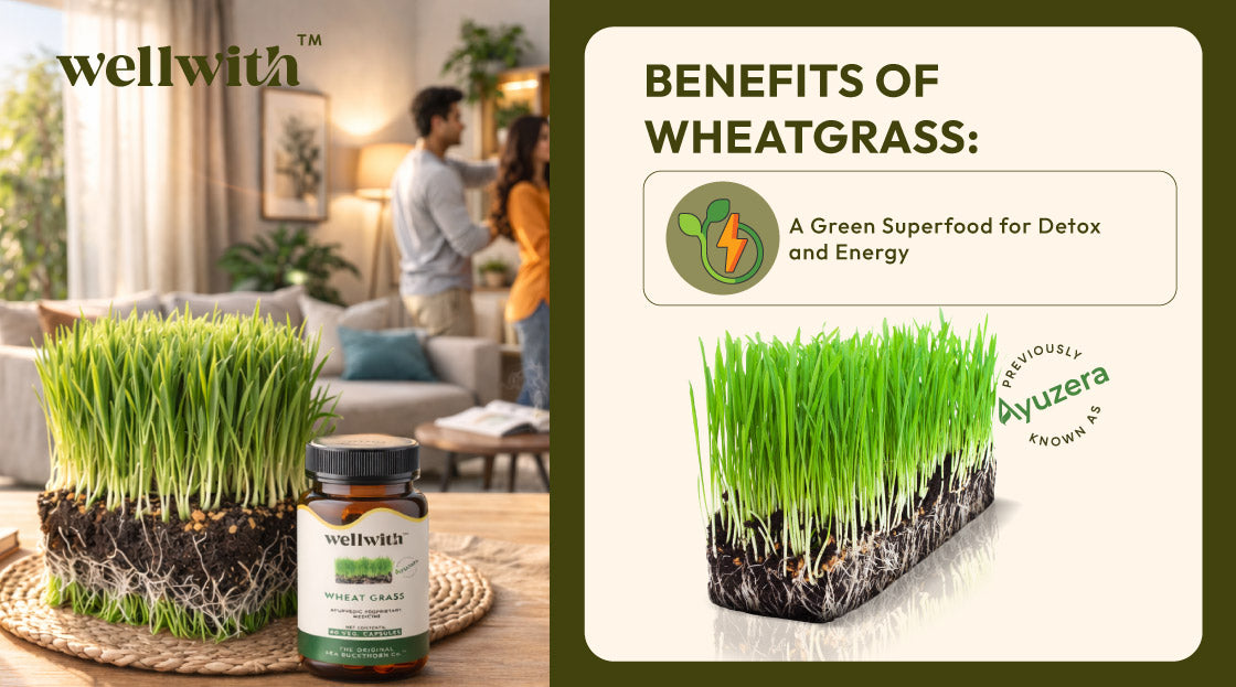 The nutritional health benefits of wheatgrass include rich nutrients like vitamins A, C, and E