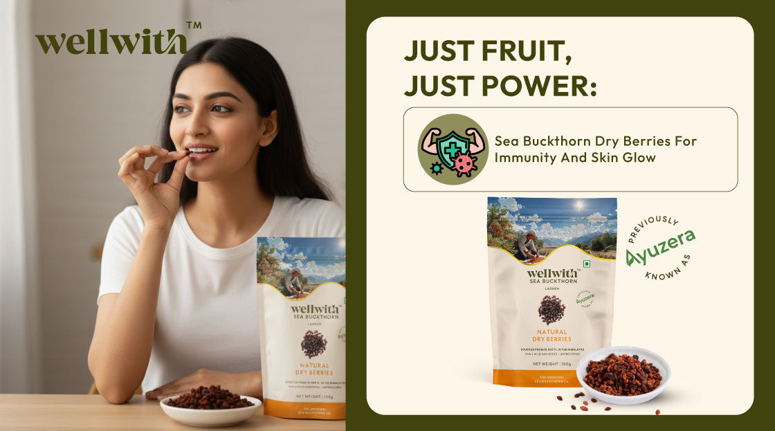 Sea Buckthorn Dry Berries For Immunity And Skin Glow