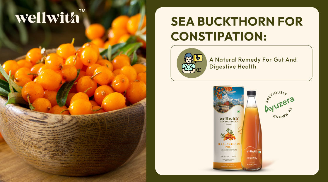 Sea Buckthorn For Constipation A Natural Remedy For Gut And Digestive Health