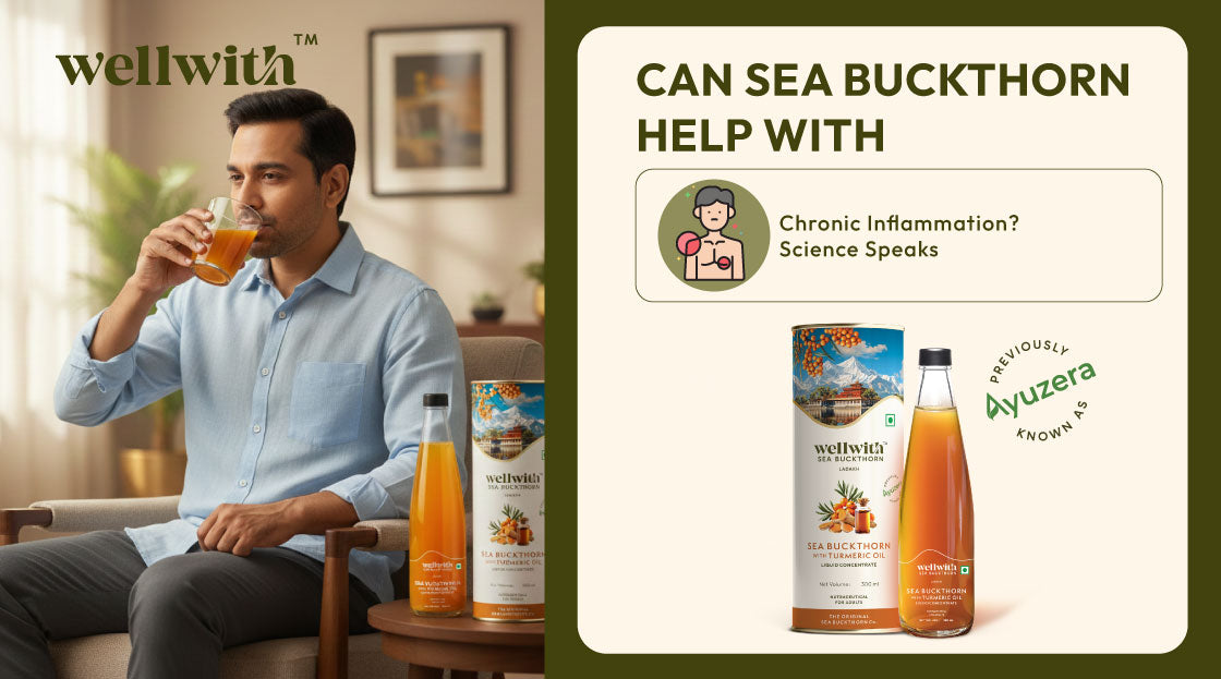 Sea Buckthorn Help With Chronic Inflammation