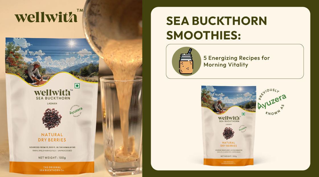 Let’s have a quick view of 5 energizing recipes of sea buckthorn smoothie, perfect for morning vitality. 