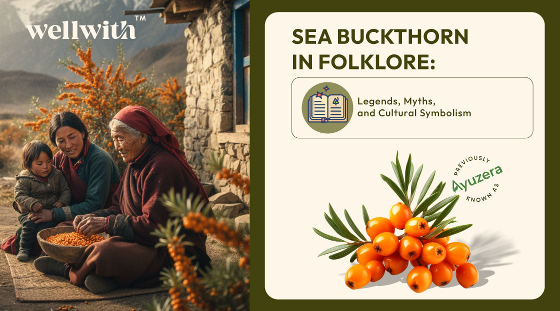 Sea Buckthorn in Folklore also talk about talk about a few myths and legends