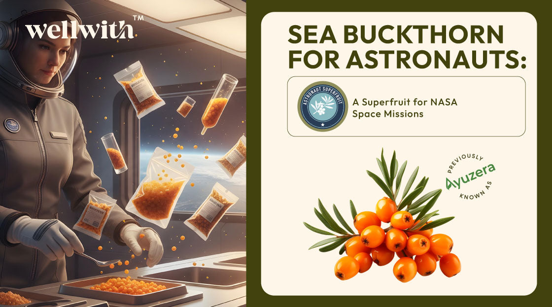 Sea Buckthorn for Astronauts: A Superfruit for NASA Space Missions