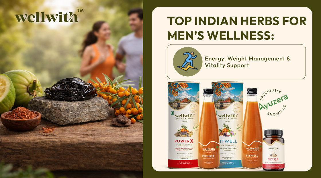 Top Indian Herbs for Men’s Wellness