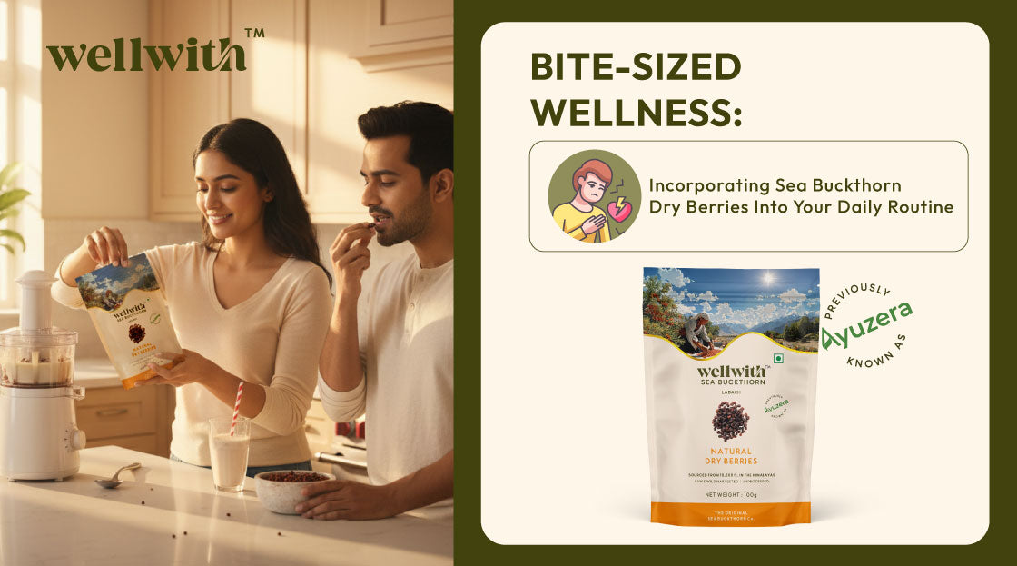 Incorporating Sea Buckthorn Dry Berries Into Your Daily Routine