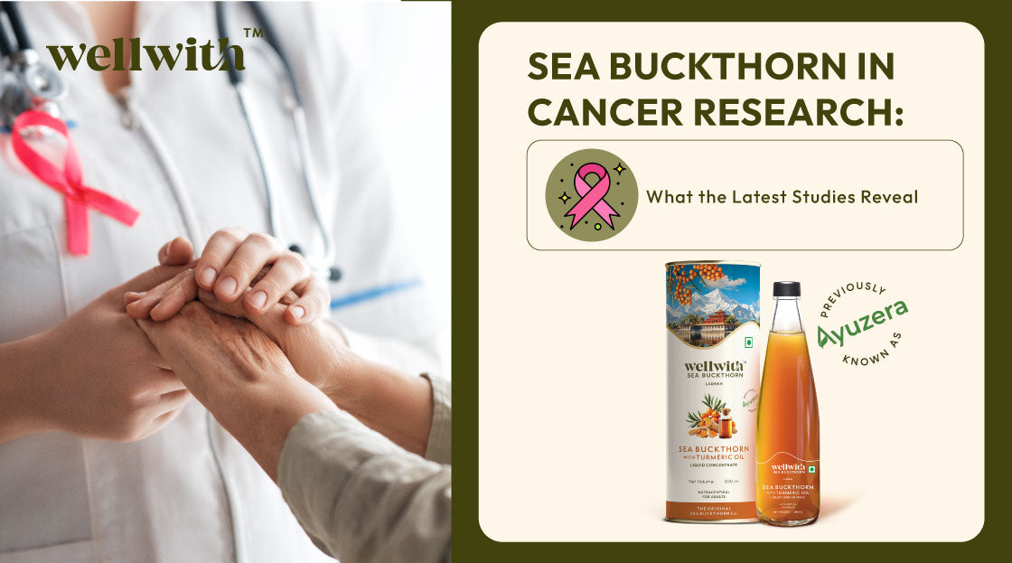 sea buckthorn is shown to have multiple promising effects against cancer.