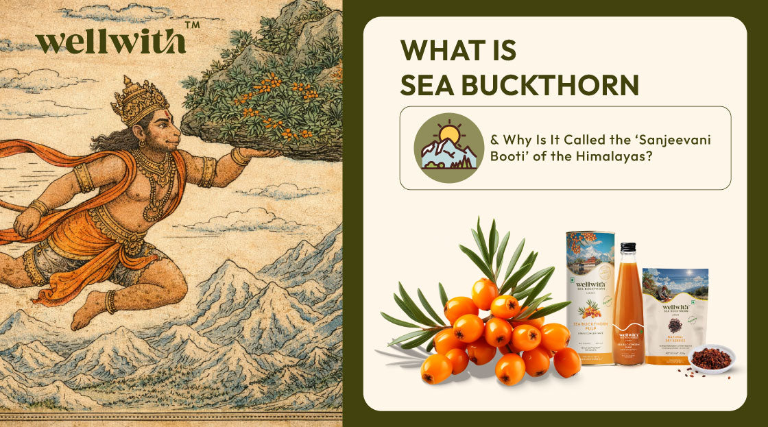 What is Sea Buckthorn?