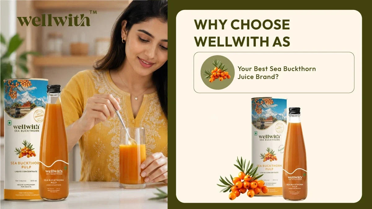 Why Choose WellWith as Your Best Sea Buckthorn Juice Brand?