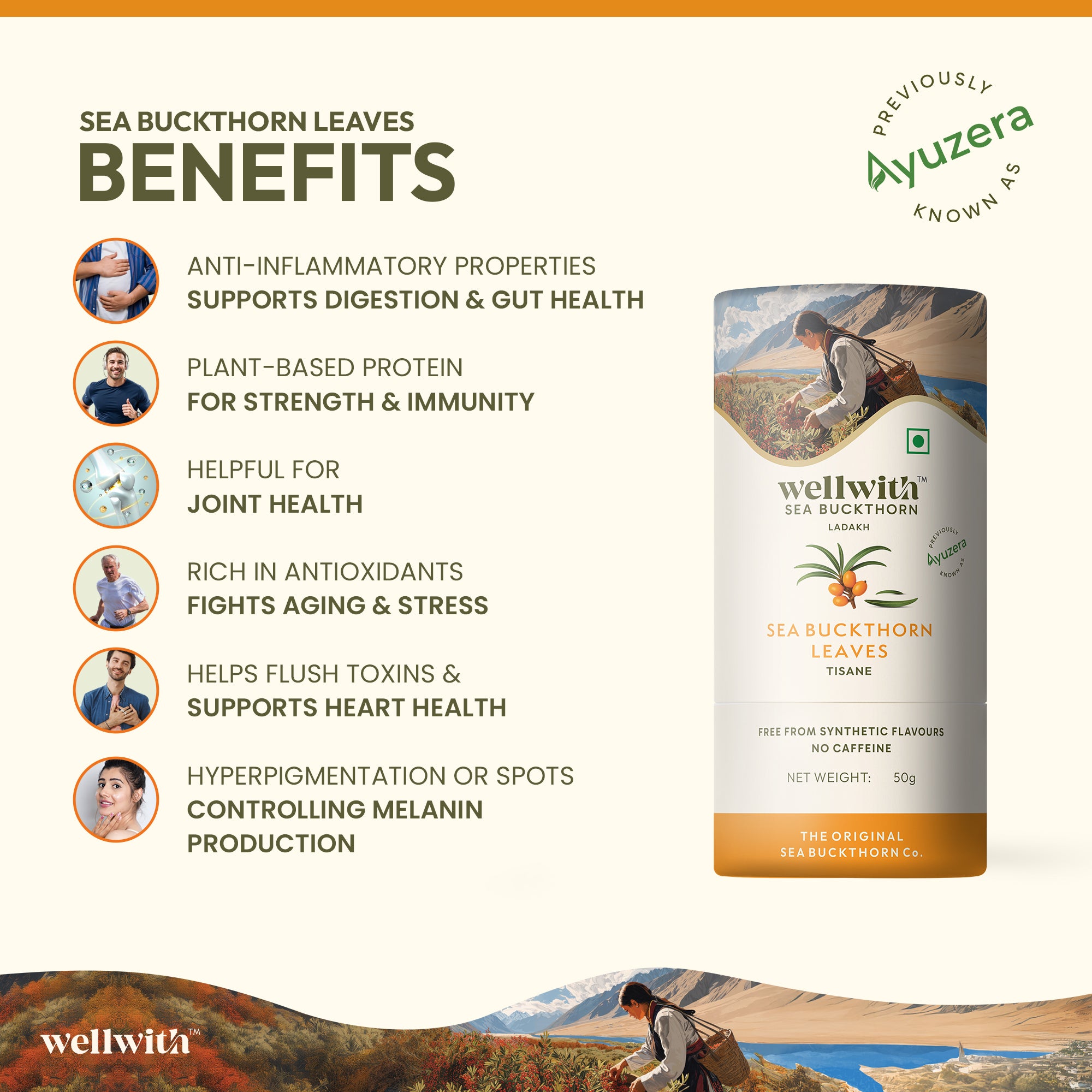 Wellwith Sea Buckthorn Leaves product with benefits listed on a scenic background.
