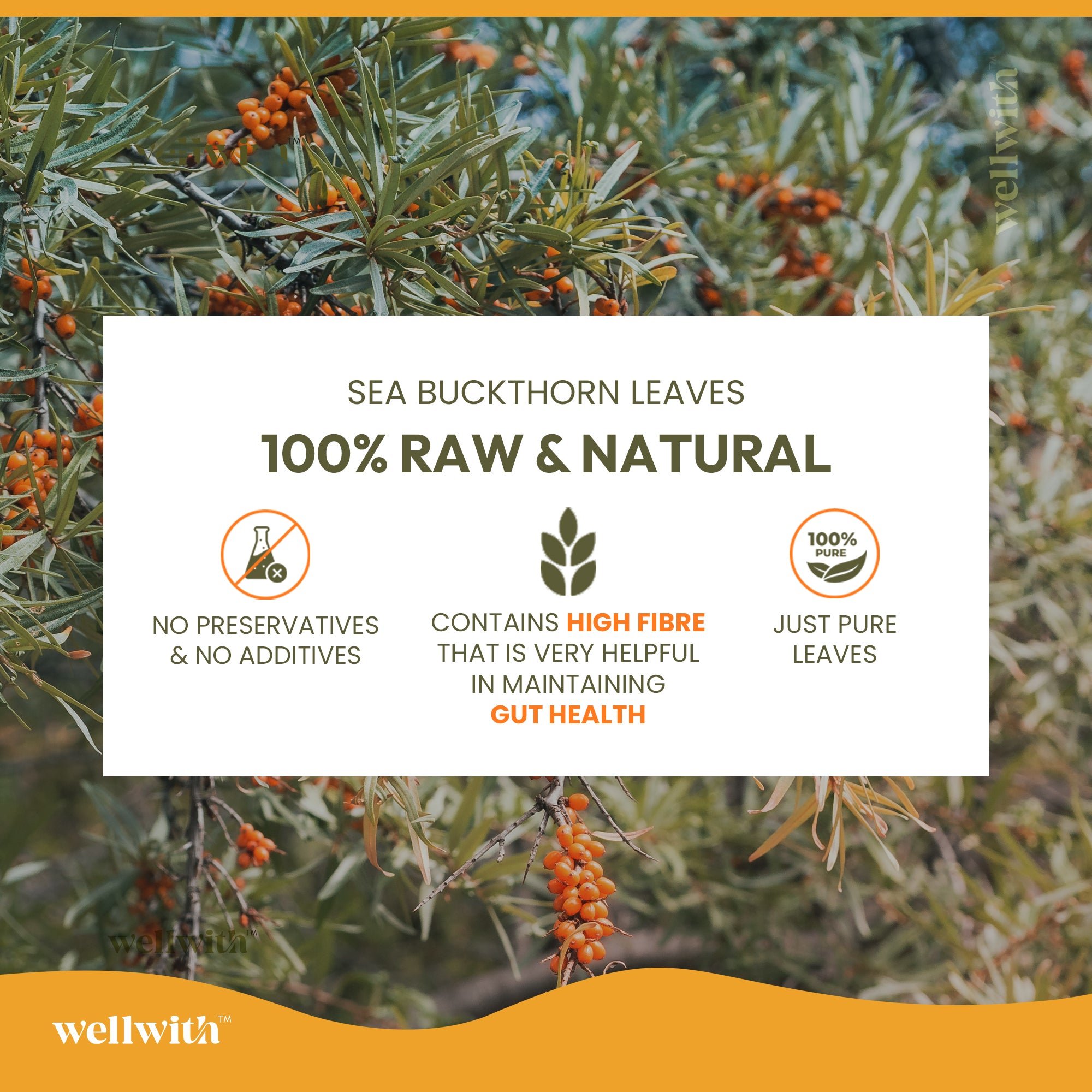 Sea buckthorn leaves with promotional text about their natural and raw properties, branded as 'wellwith'.
