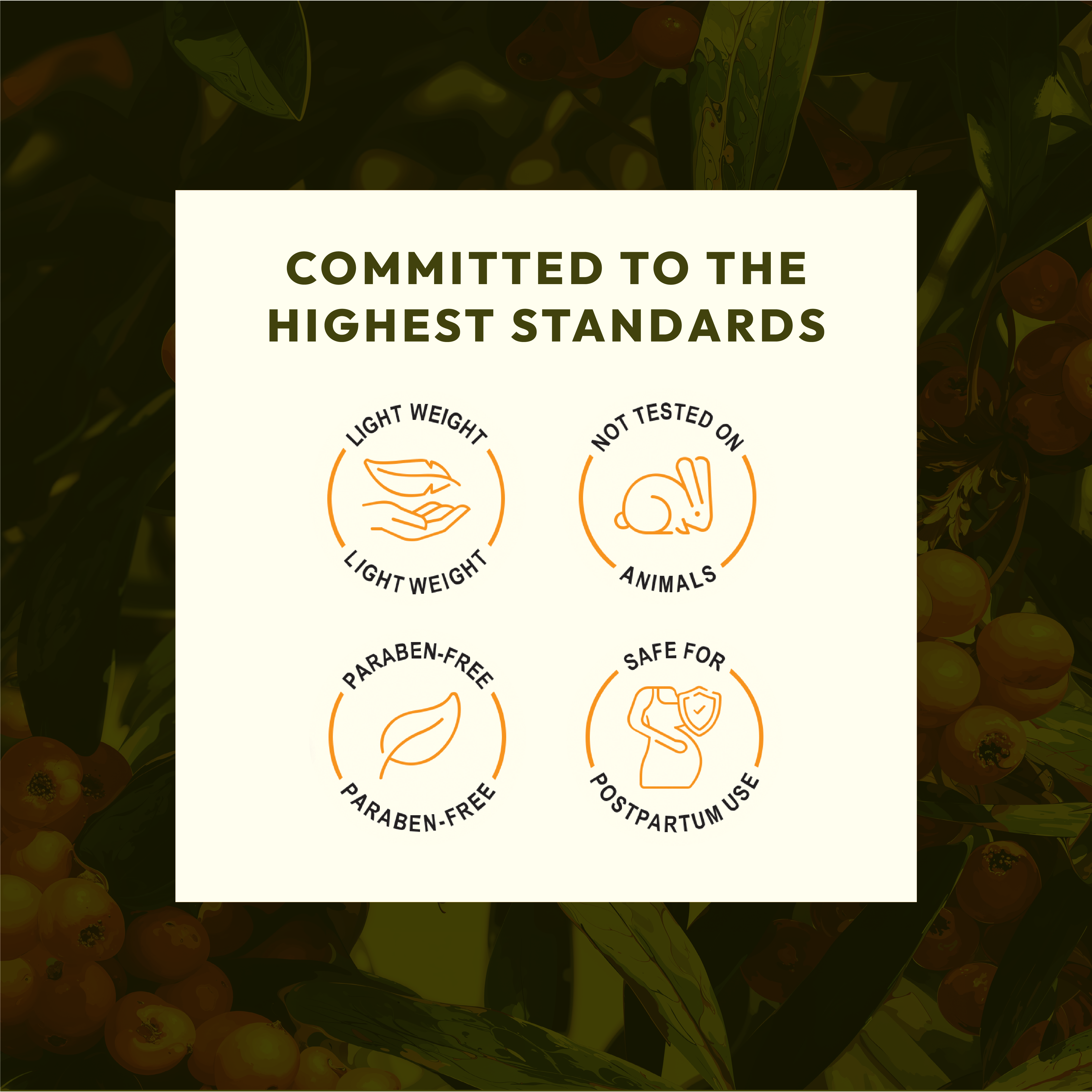 Stretch & Scar Cream 50gm