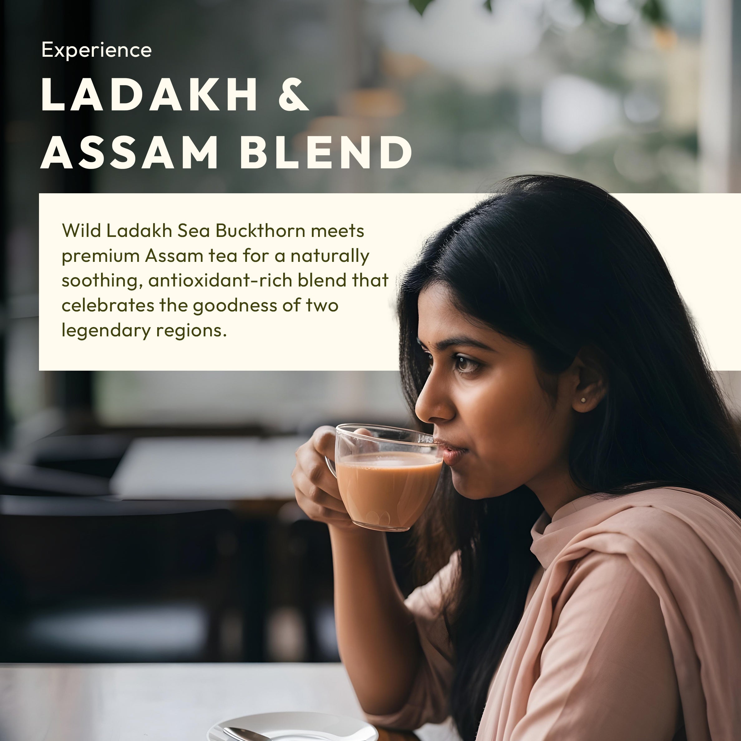 Woman drinking a cup of omega ctc tea with text about Ladakh & Assam blend