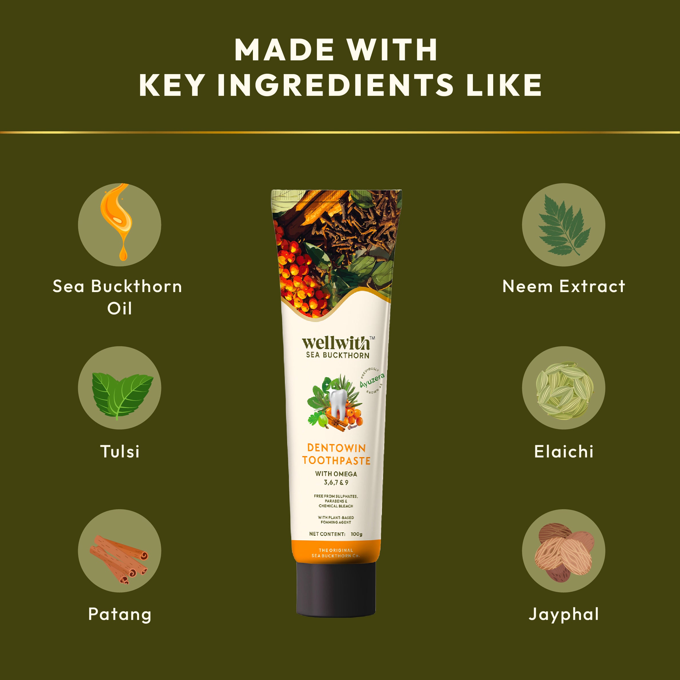 Wellwith Sea Buckthorn herbal toothpaste with key ingredients like tulsi, neem extract, elaichi, jayphal, patang and SBT oil
