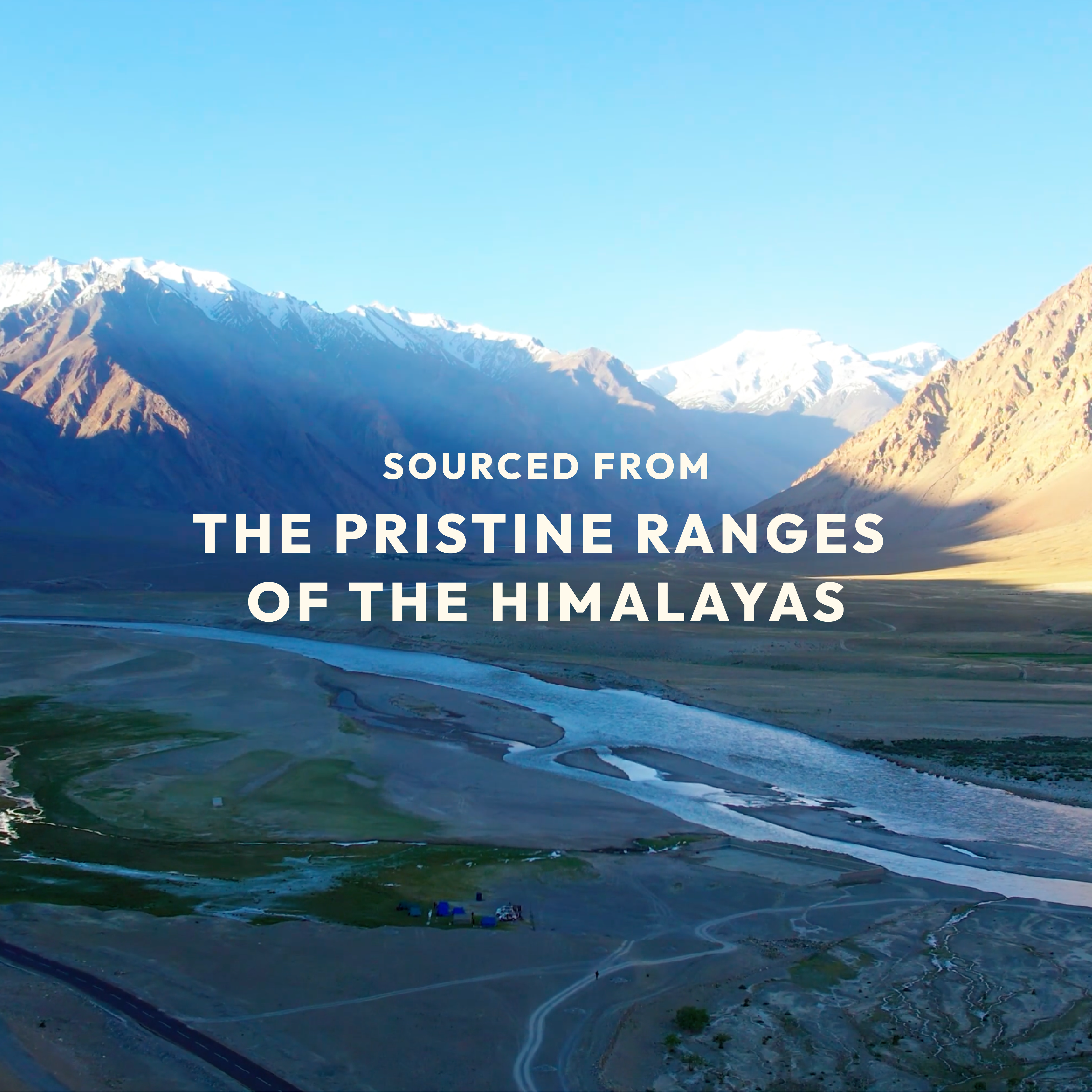 Stretch & Scar Cream 50gm