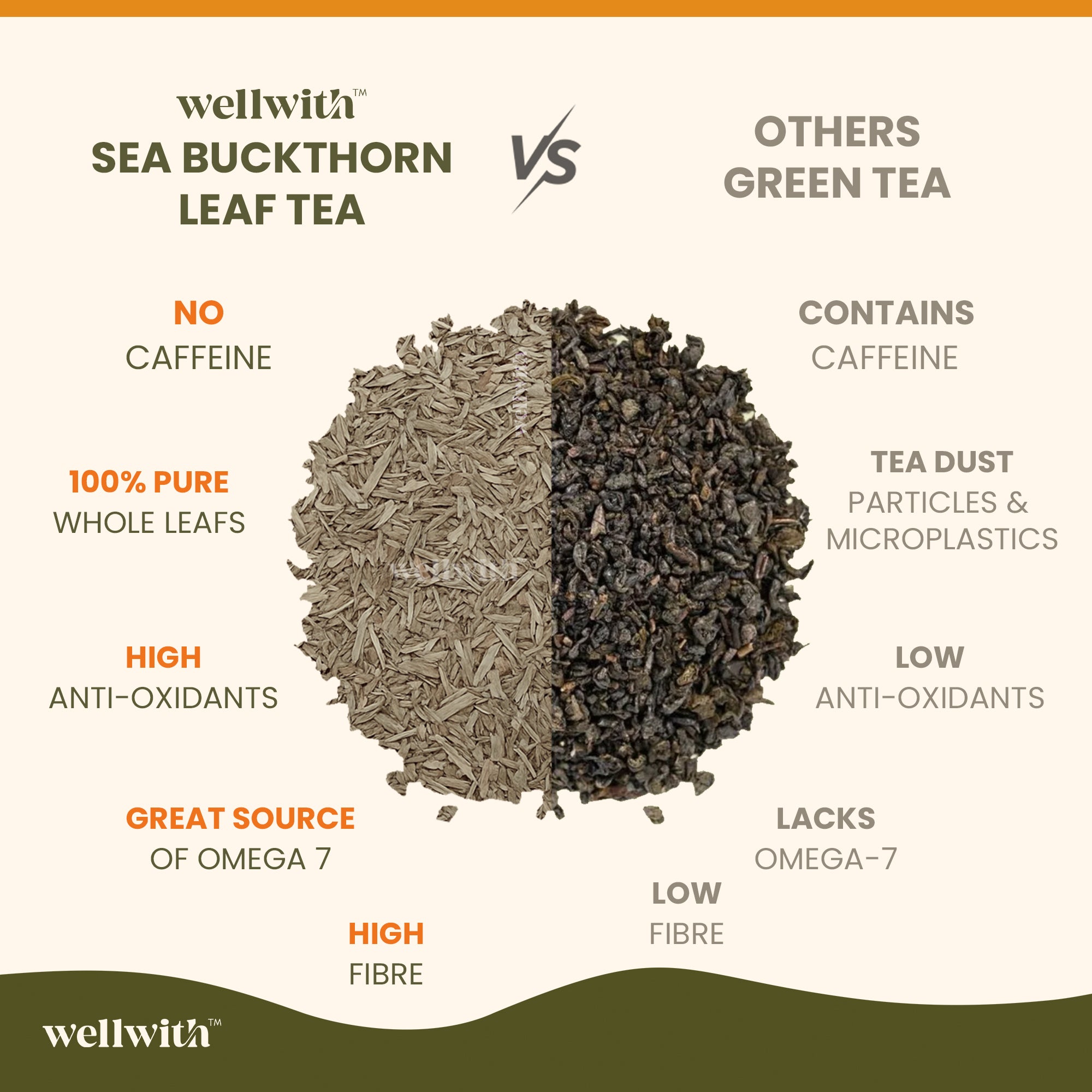 Comparison chart between wellwith Sea Buckthorn Leaf Tea and other green teas, highlighting differences.