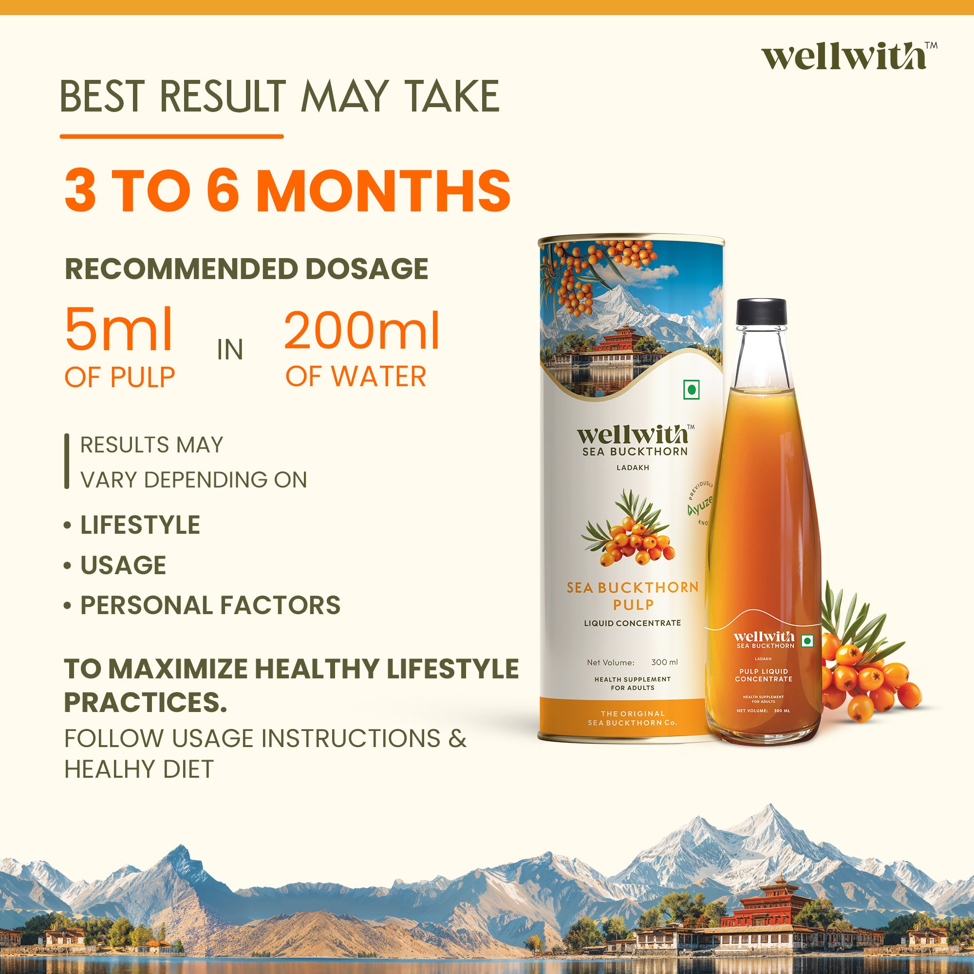 Sea Buckthorn Juice (Pulp) 300ml