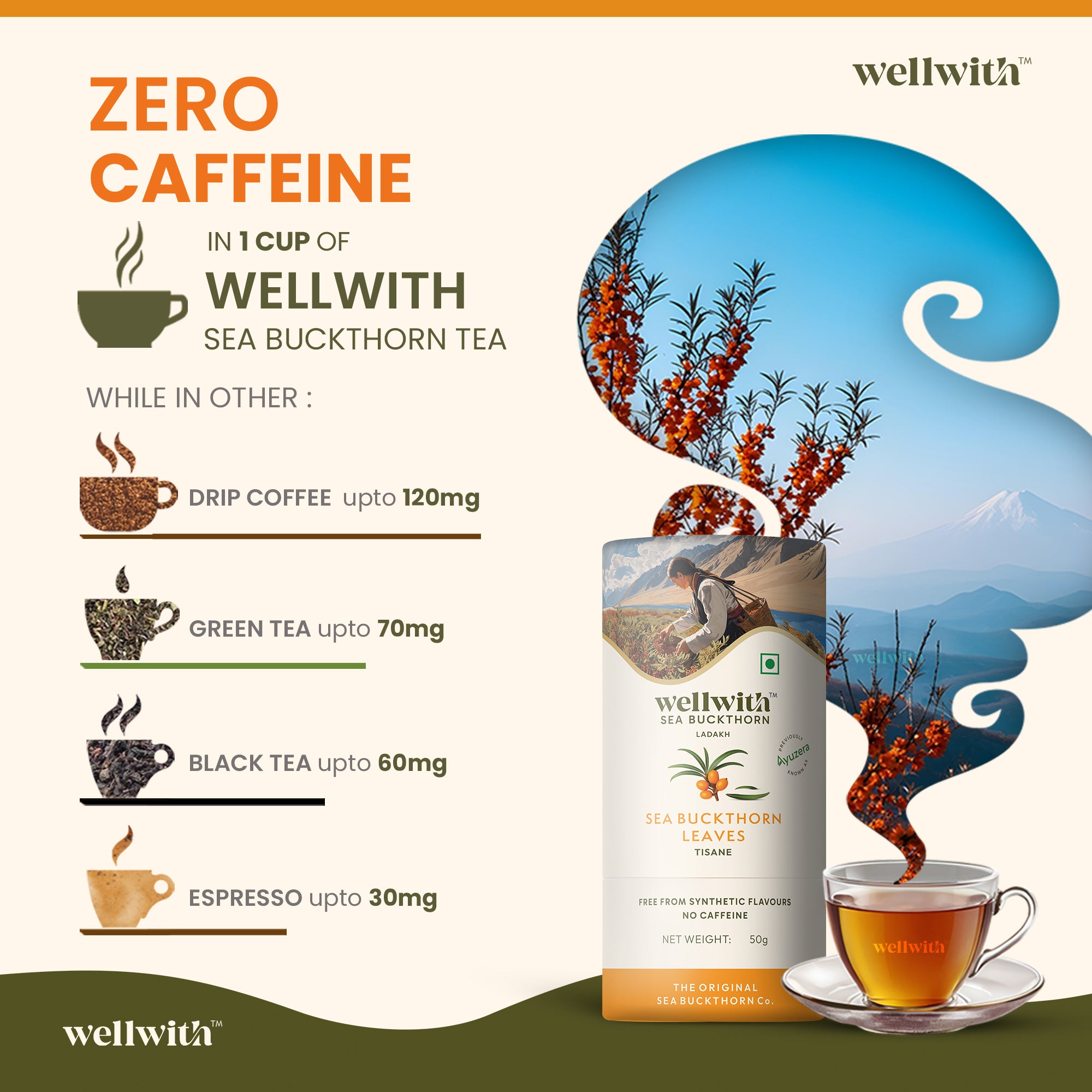 Wellwith Sea Buckthorn Tea packaging with caffeine comparison chart on a it