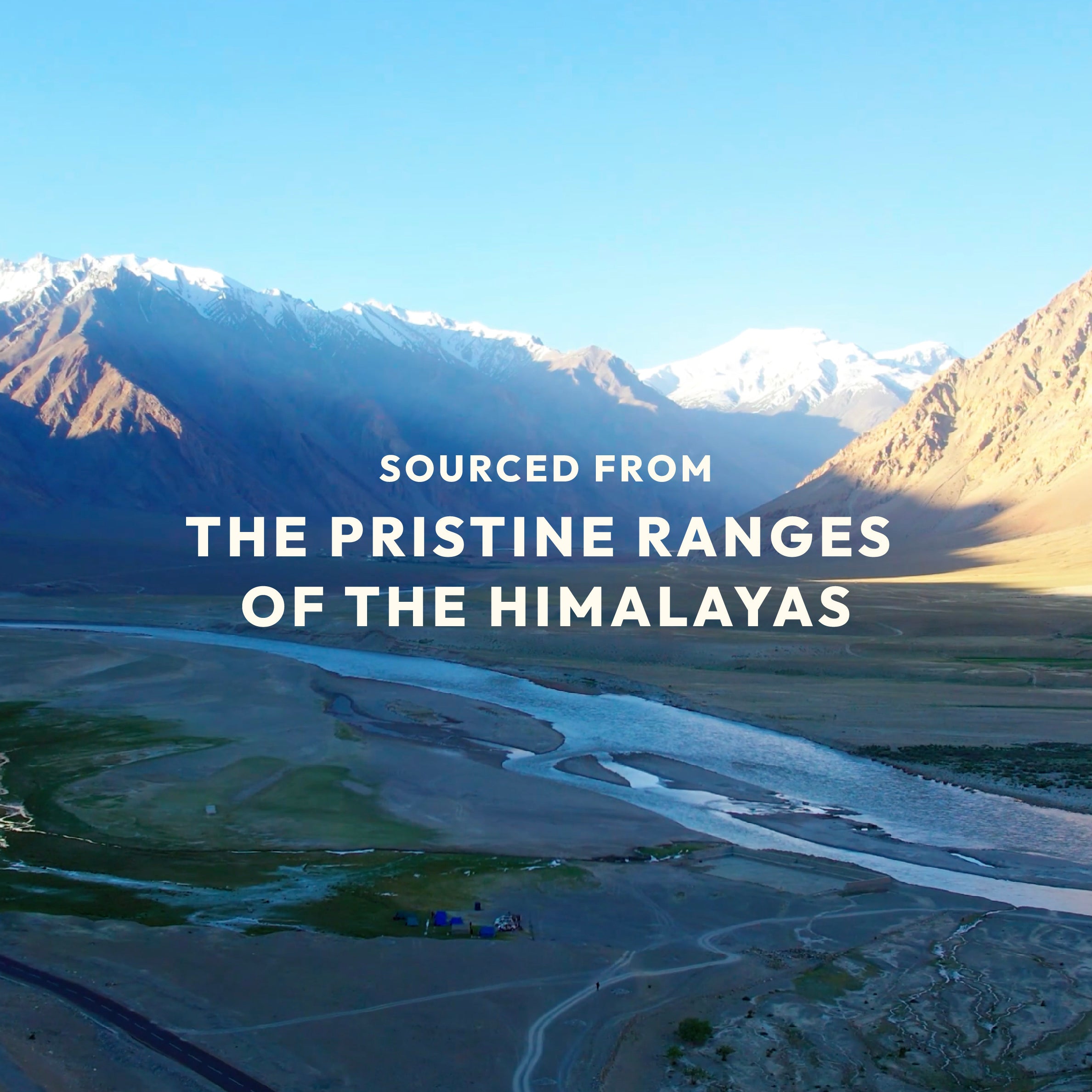 Dentowin Sea Buckthorn Herbal Toothpaste 100gm