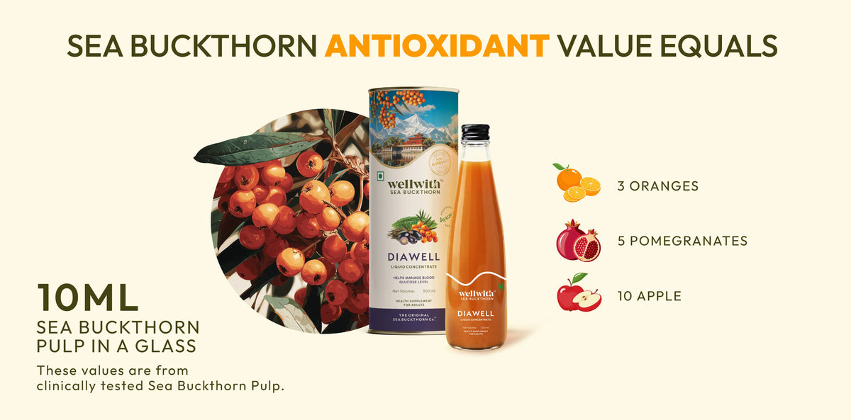 10 ml of sea buckthorn diawell juice's antioxidant is equal to 3 oranges, 5 pomegranates, and 10 apple