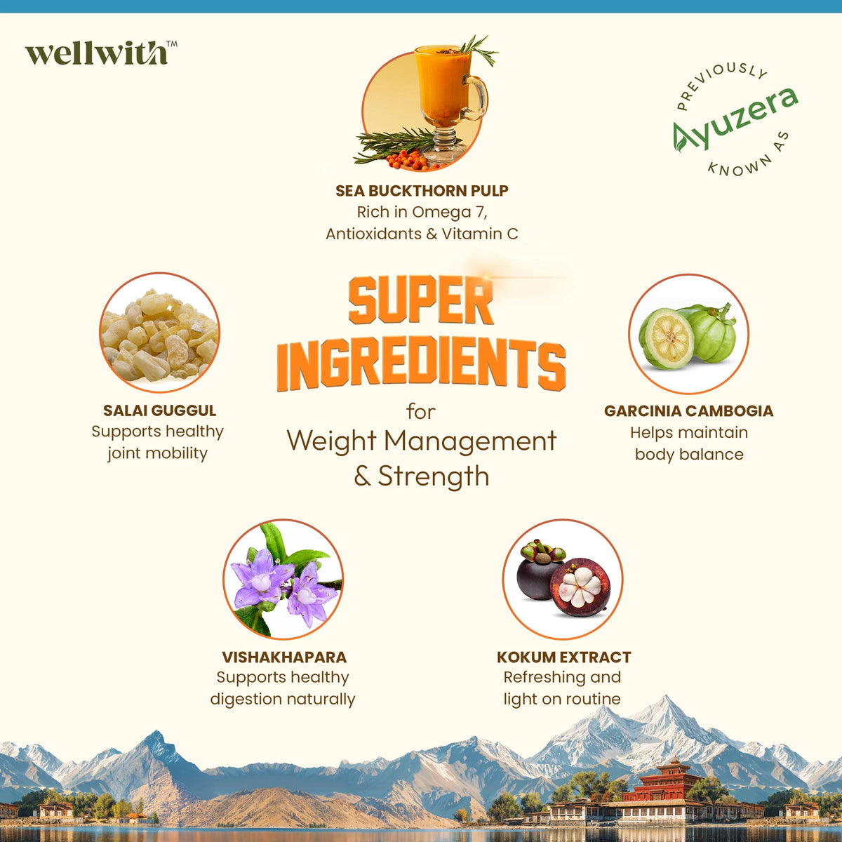 super ingredients of sea buckthorn fitwell
