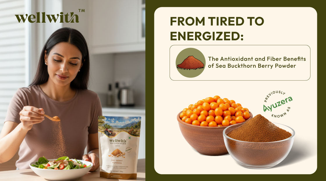 Antioxidant and Fiber Benefits of Sea Buckthorn Berry Powder