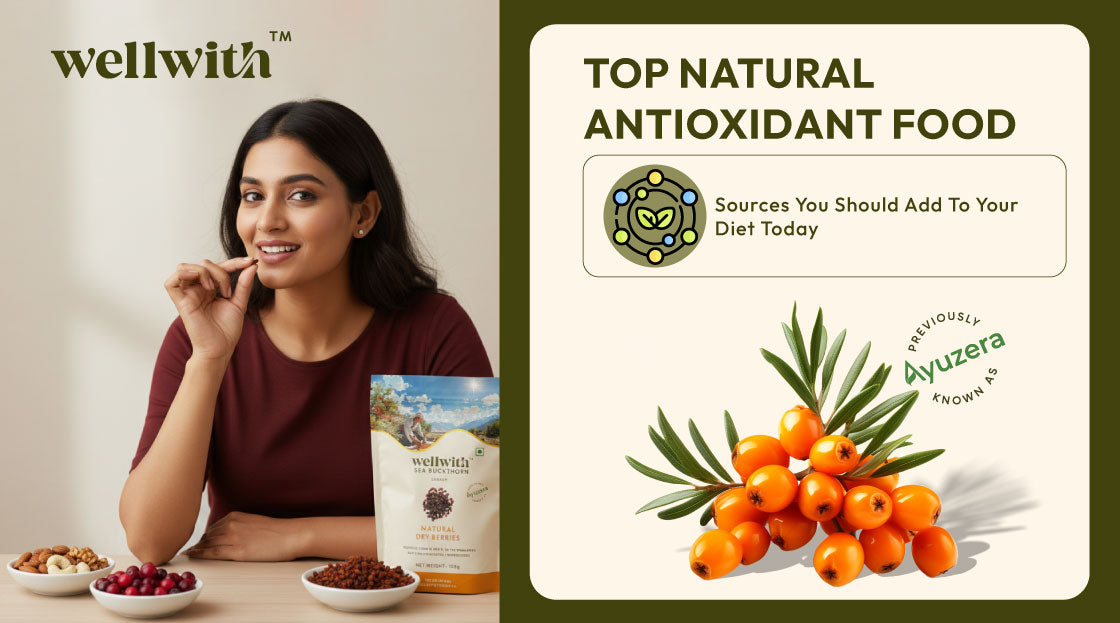 best antioxidant rich food sources to include in diet