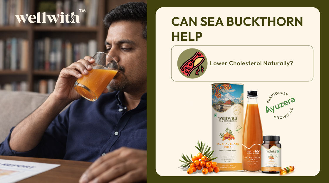 Can Sea Buckthorn Help Lower Cholesterol Naturally