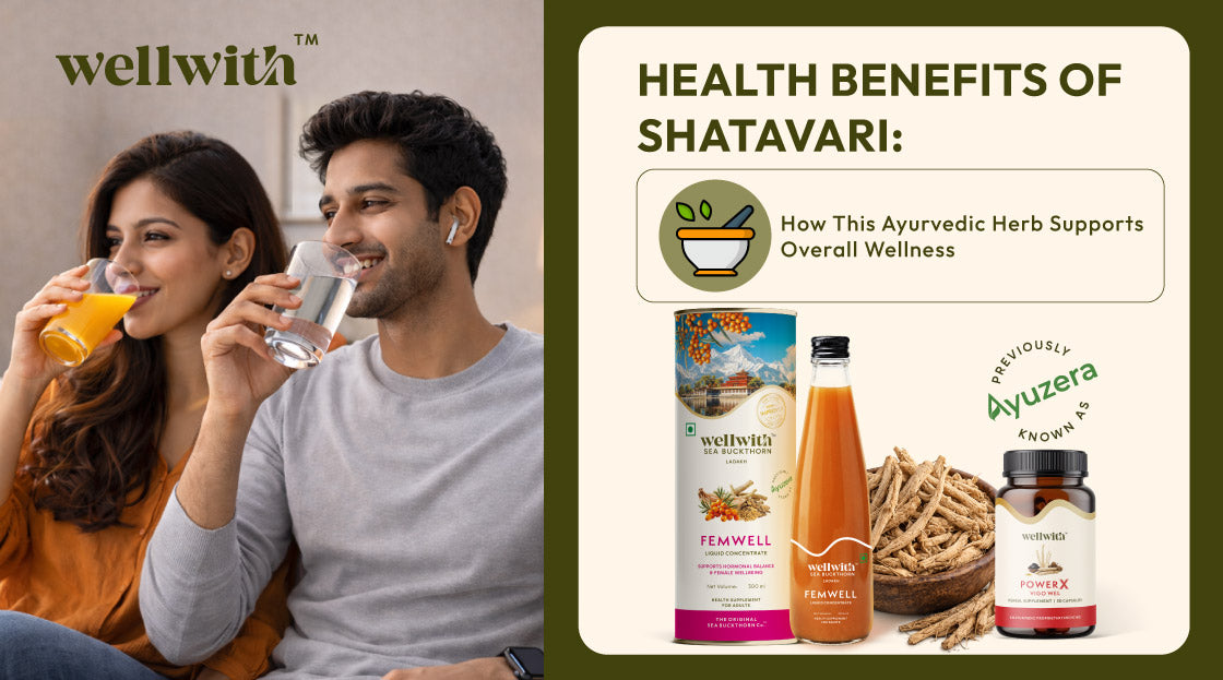Health benefits of shatavari, whose name means “she who had a hundred husbands”, that enhances overall well-being. 