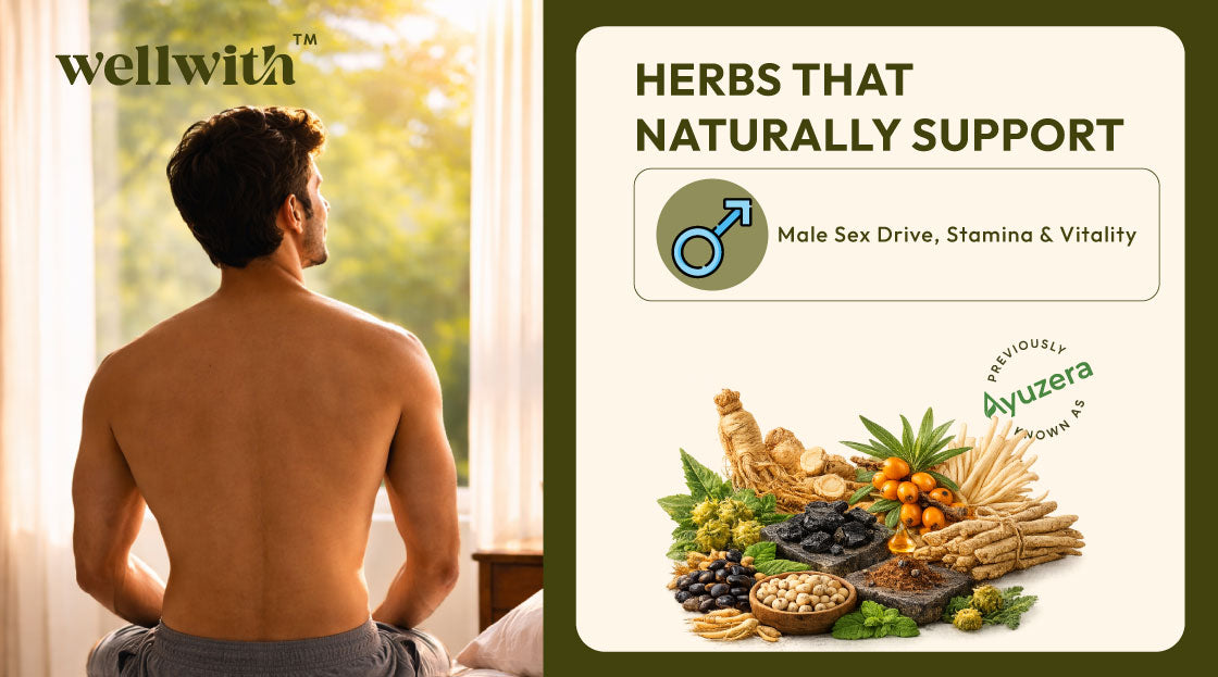 Herbs That Naturally Support Male Sex Drive, Stamina & Vitality