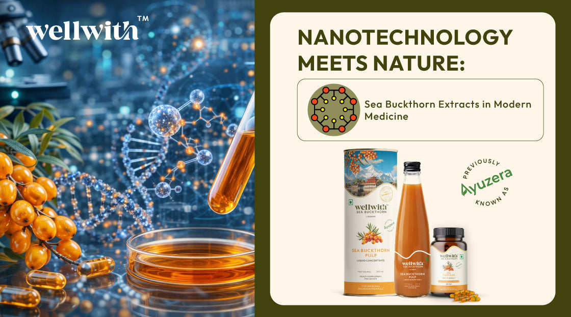 Nanotechnology Meets Nature: Sea Buckthorn Extracts in Modern Medicine