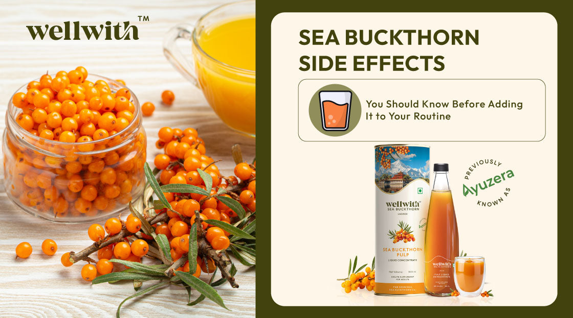Sea Buckthorn Side Effects