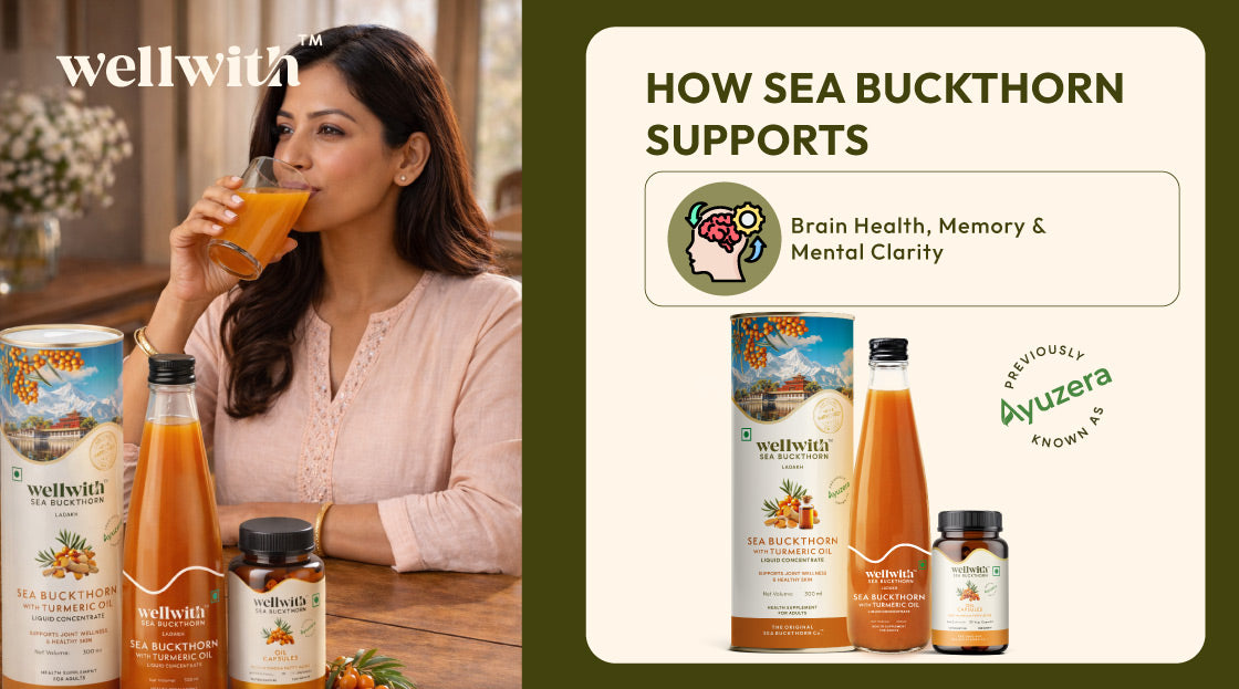 sea buckthorn benefits for brain