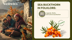 Sea Buckthorn in Folklore: Legends, Myths, and Cultural Symbolism