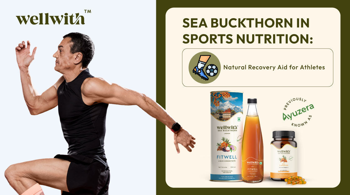 Sea Buckthorn in Sports Nutrition: Natural Recovery Aid for Athletes