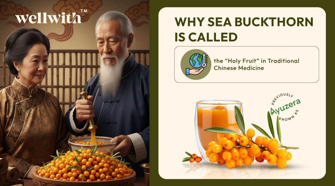 Sea buckthorn Holy Fruit of China and most precious elements in TCM