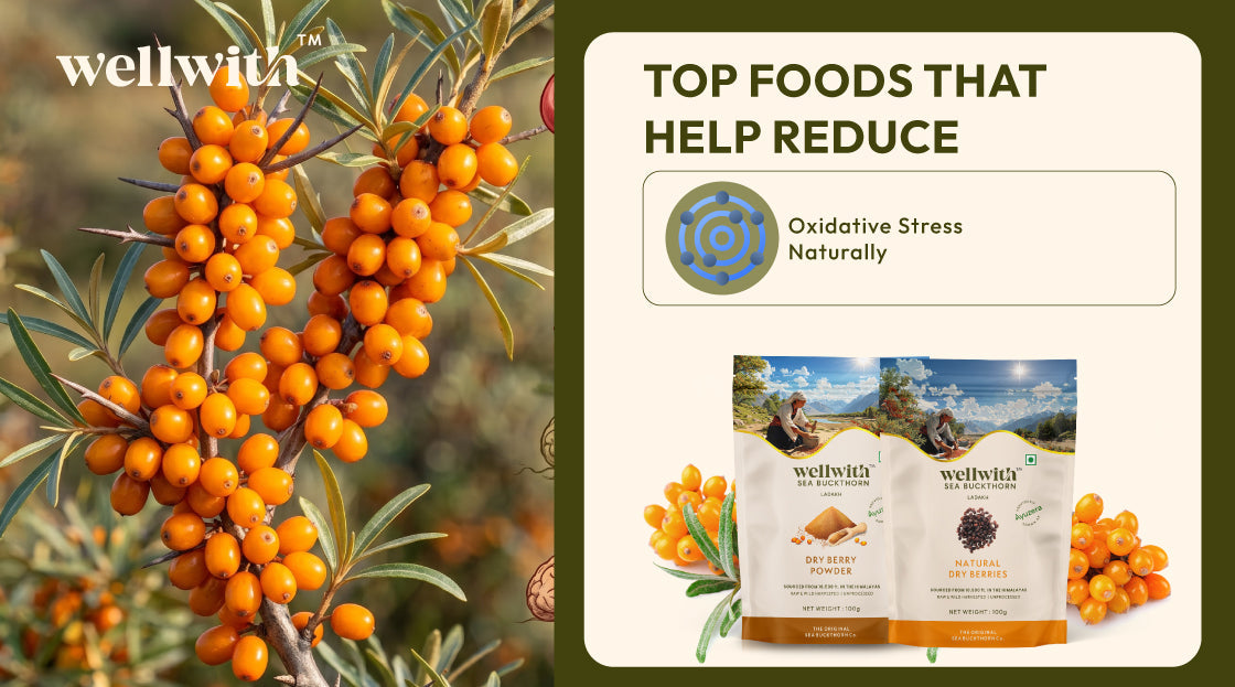 Top Foods That Help Reduce Oxidative Stress Naturally