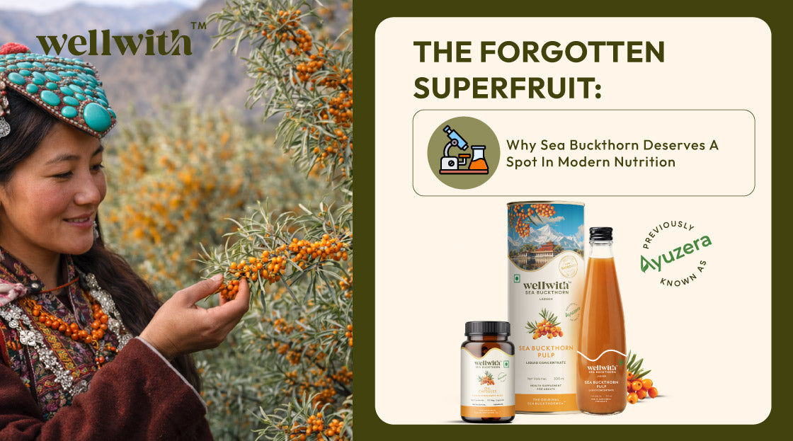 Why Sea Buckthorn Deserves a Spot in Modern Nutrition