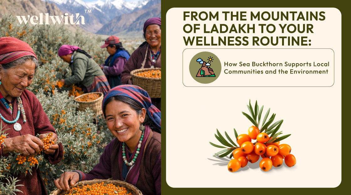 sea buckthorn From the Mountains of Ladakh to Your Wellness Routine