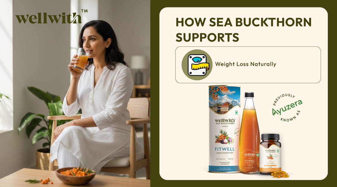 sea buckthorn for weight loss