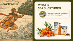 What Is Sea Buckthorn and Why Is It Called the ‘Sanjeevani Booti’ of the Himalayas?