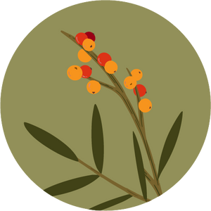 collection Image