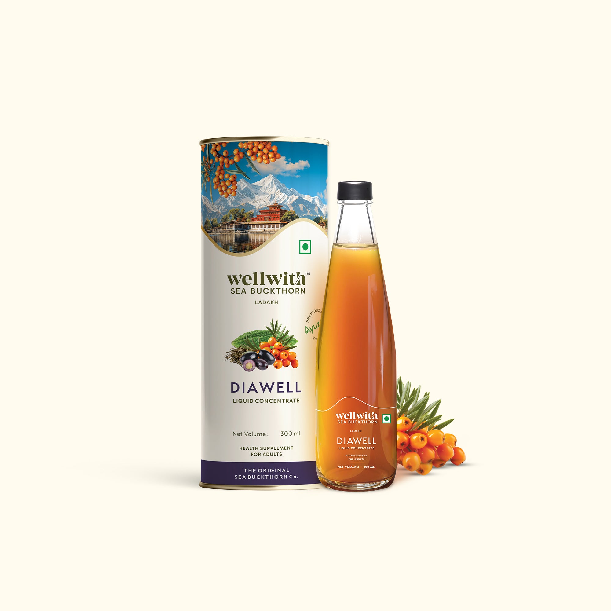 WellWith <br> Sea Buckthorn DiaWell 300ml