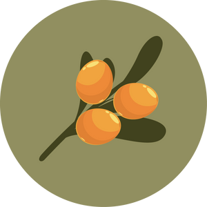 collection Image
