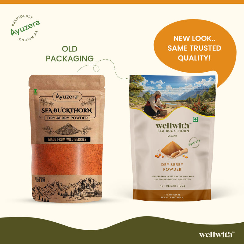 Sea Buckthorn Dry Berry Powder 100gm