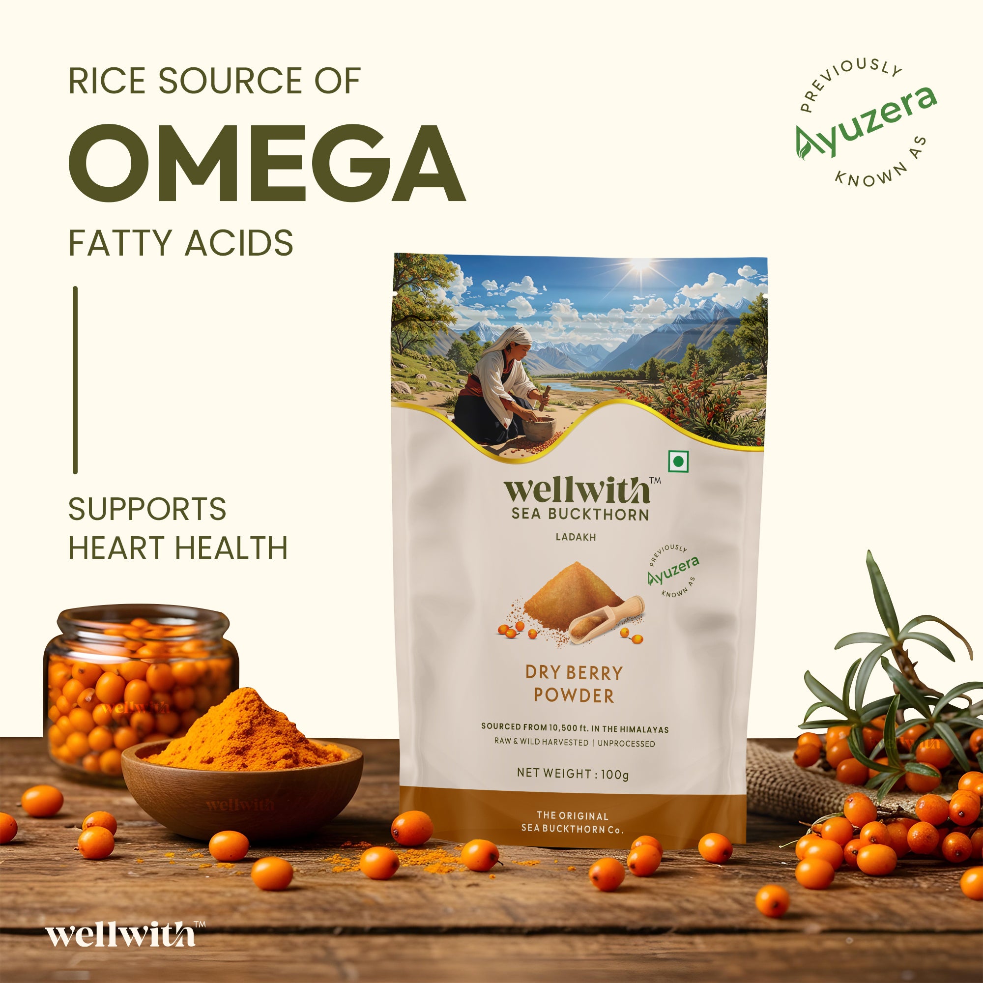 Wellwith Sea Buckthorn Dry Berry Powder, highlighting its rich source of omega fatty acids.